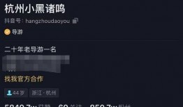 知名导游爆料视频在线观看