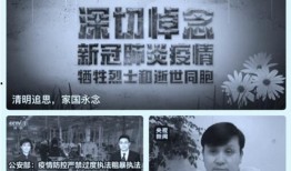 青岛民间爆料新闻事件最新,神秘事件引发热议，真相即将揭晓！